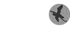 North Arkansas Fly Fishers